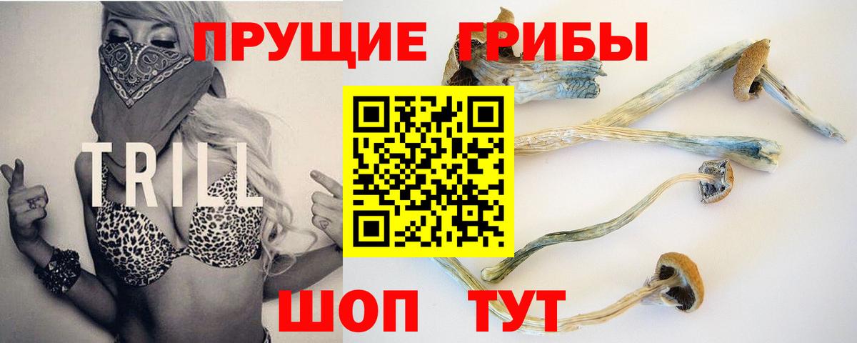 Тимашёвск  Псилоцибиновые грибы Cubensis  Вход с VPN 